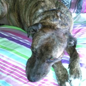 Meet your Posher, Kerry